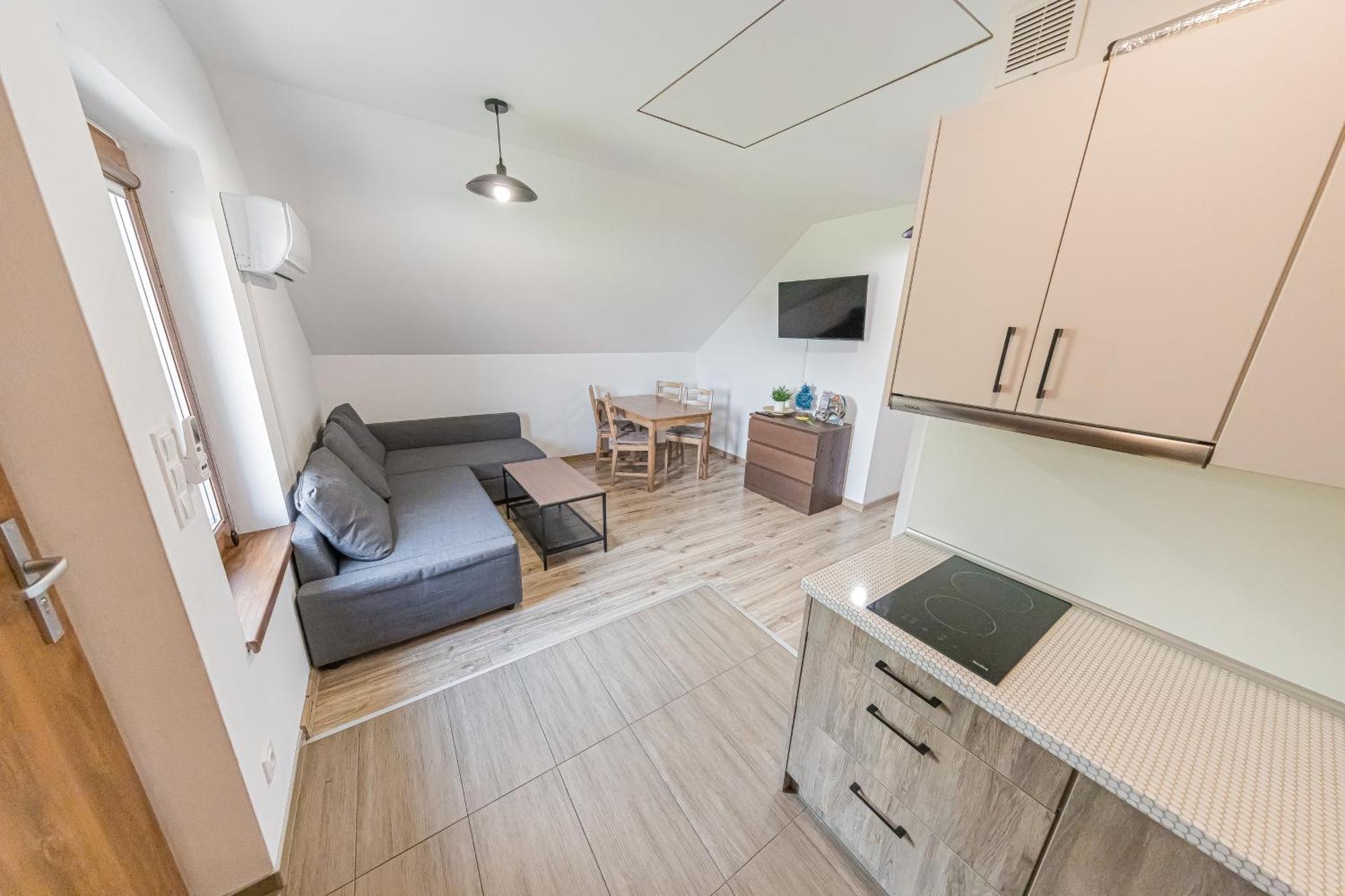Energylandia Domki-Apartamenty U Agi G ザトル エクステリア 写真